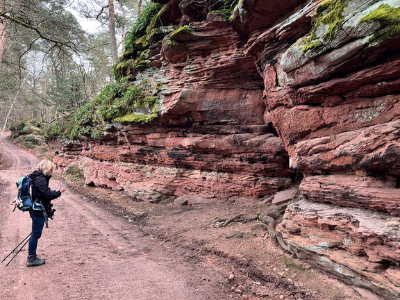 24-03-01 13-06-58 8871